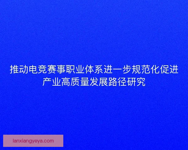 推动电竞赛事职业体系进一步规范化促进产业高质量发展路径研究